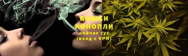 прущие крисы Мегион